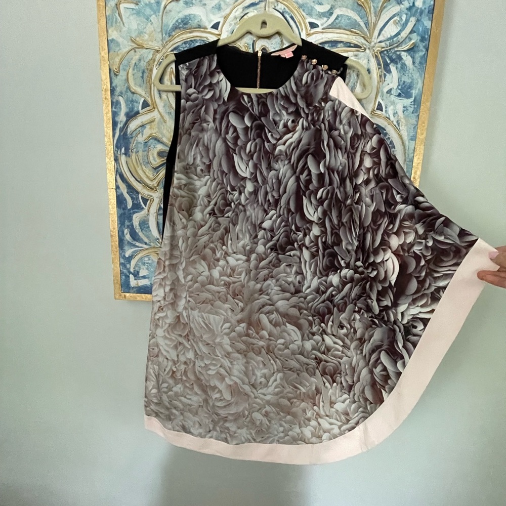 Beautiful Ted Baker dress. Worn once!